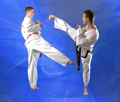 Gdyński Klub Sportowy "POSEJDON" - Sekcja Taekwon-do ITF